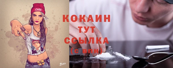 тгк Алзамай