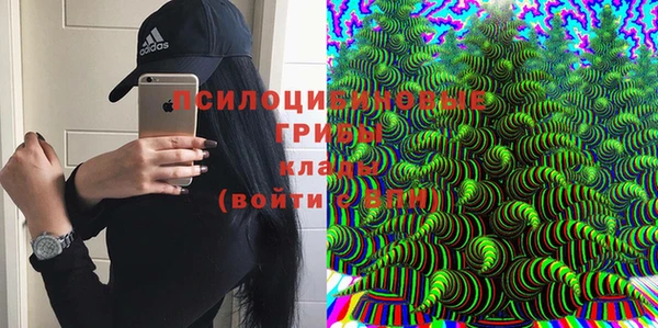 а пвп мука Абаза