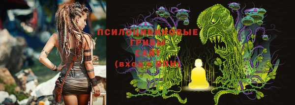 меф Ладушкин